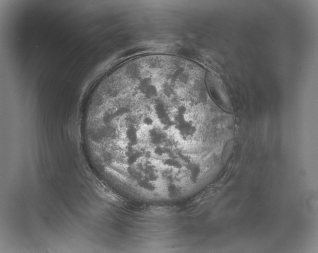 X0000072930149200608041225