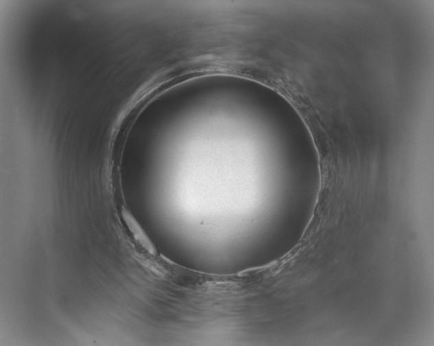 X0000072930150200608041225