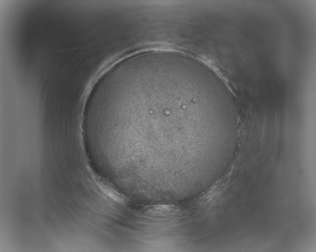 X0000072930151200608041225