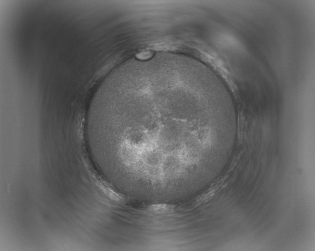 X0000072930153200608041225