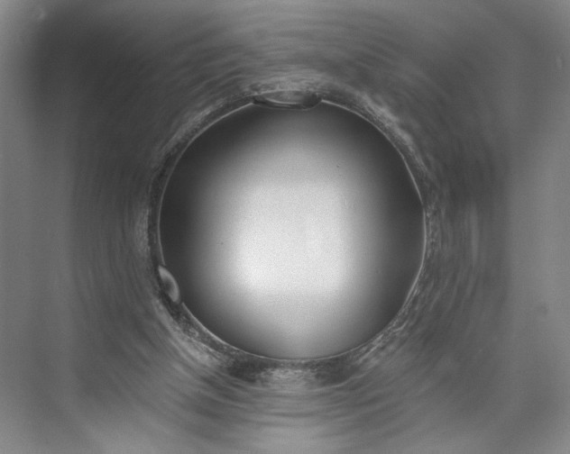 X0000072930154200608041225