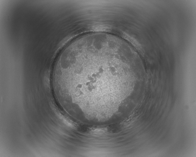 X0000072930155200608041225