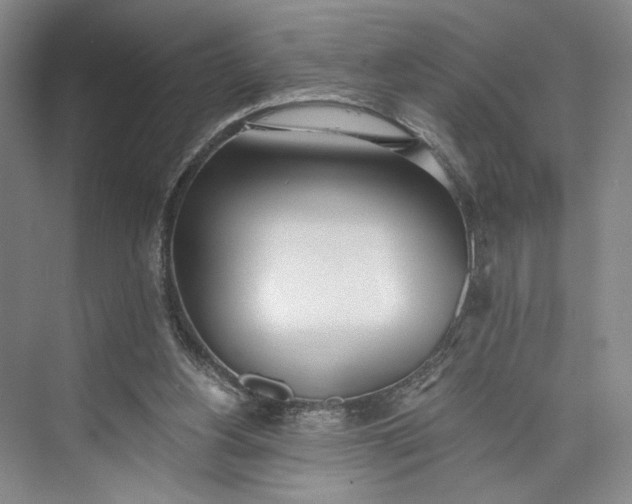 X0000072930156200608041225