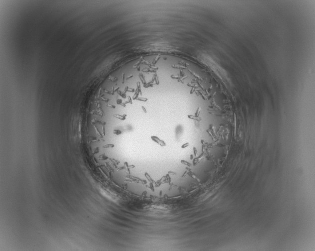 X0000072930157200608041225