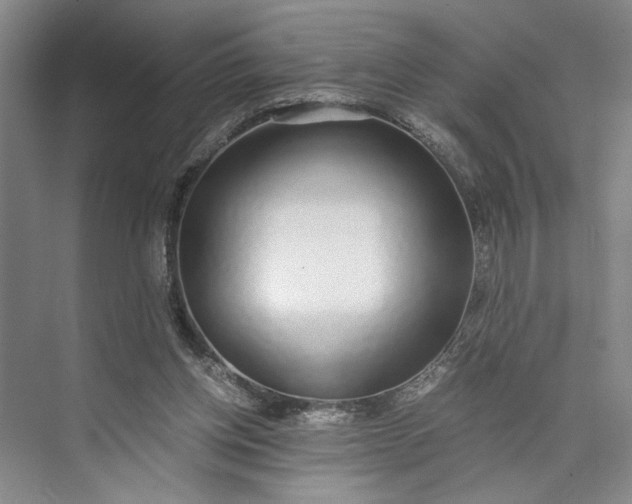 X0000072930158200608041225