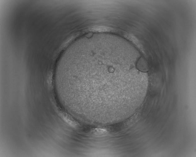 X0000072930159200608041225