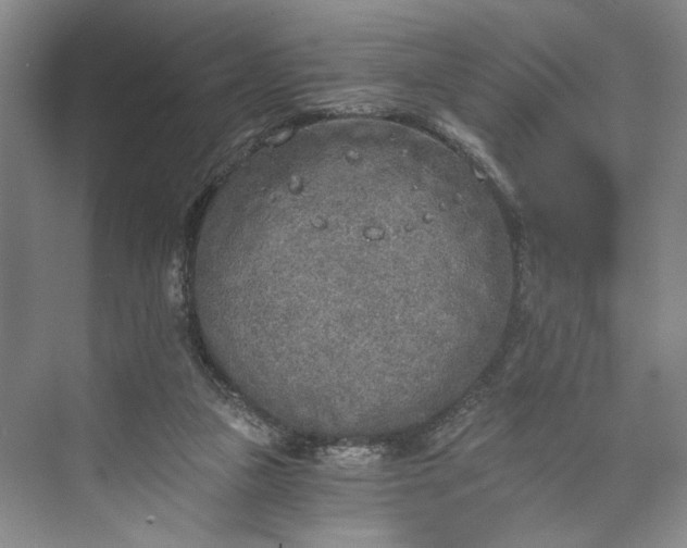 X0000072930161200608041225