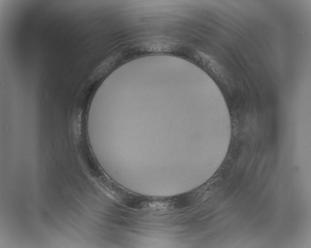 X0000072930163200608041225