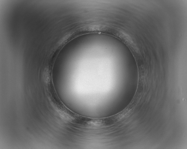 X0000072930164200608041225