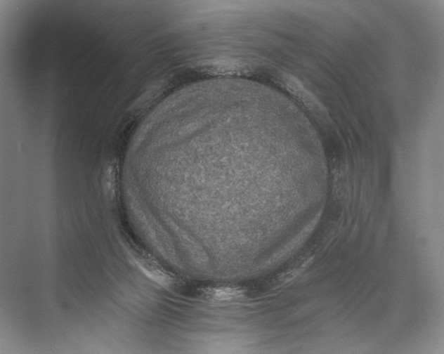 X0000072930165200608041225