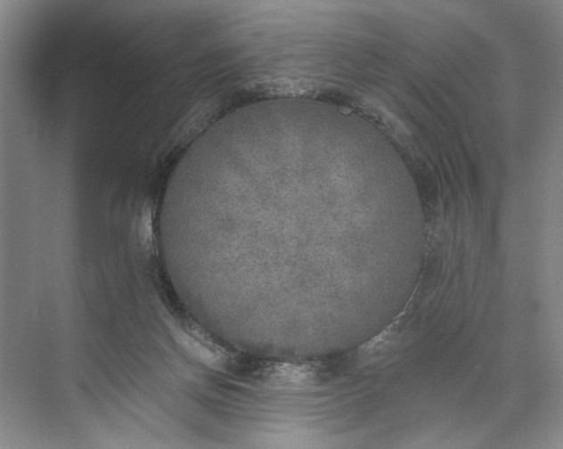 X0000072930166200608041225