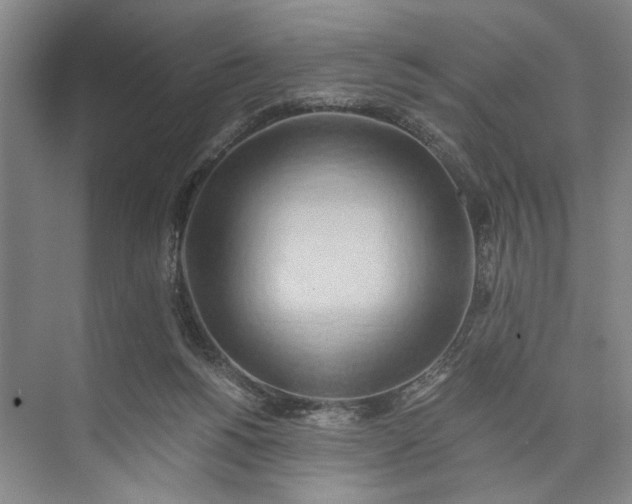 X0000072930168200608041225