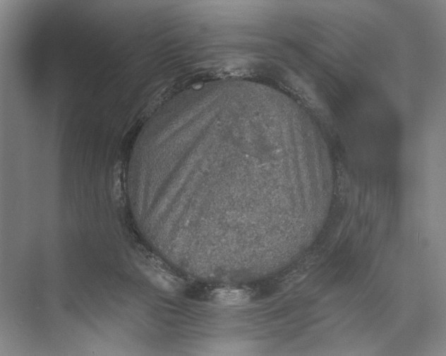 X0000072930169200608041225