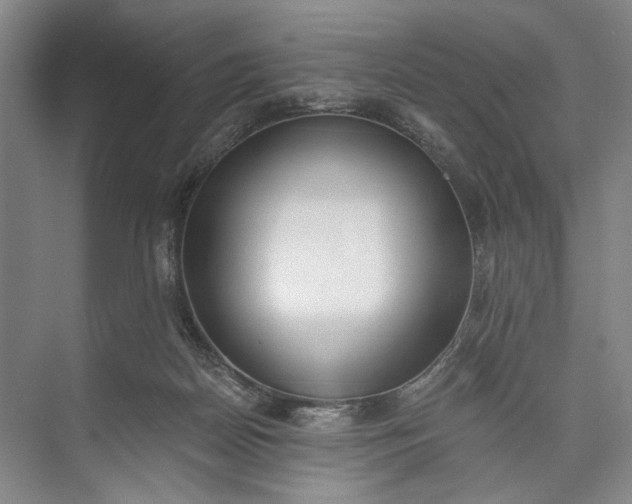 X0000072930170200608041225