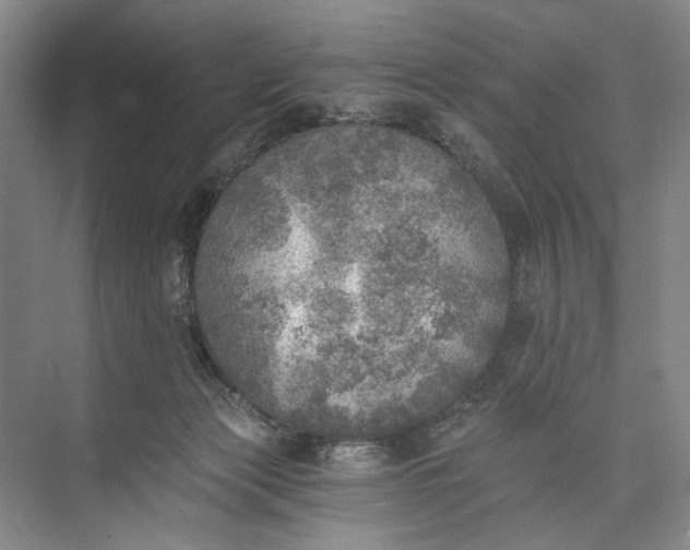 X0000072930173200608041225