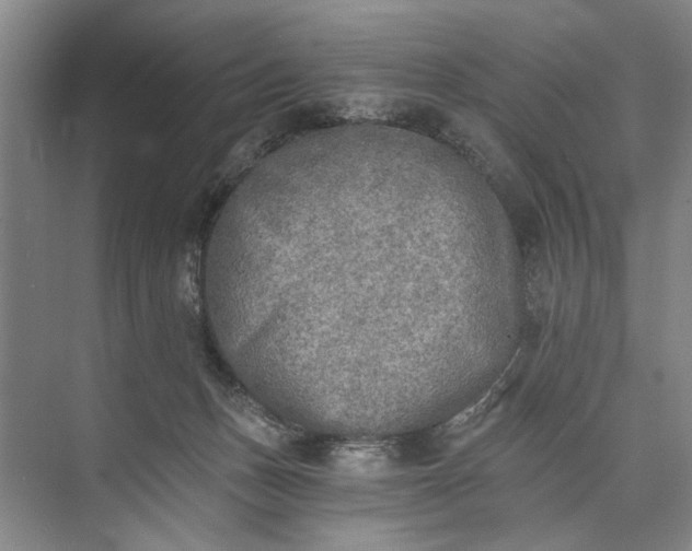 X0000072930175200608041225