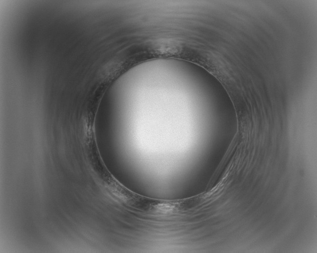 X0000072930176200608041225