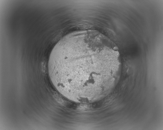 X0000072930177200608041225