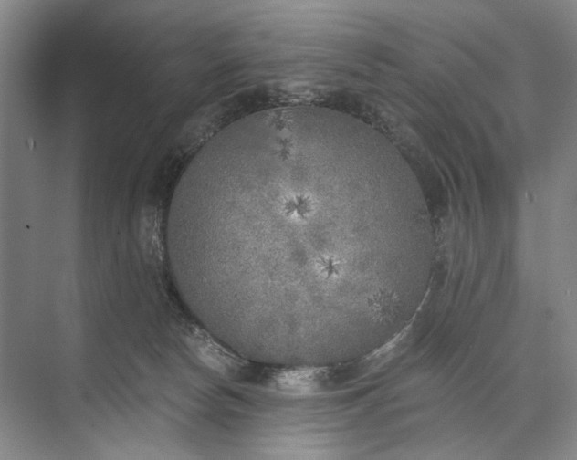 X0000072930178200608041225