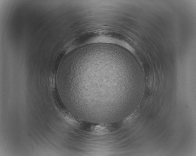 X0000072930180200608041225