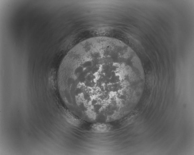 X0000072930181200608041225