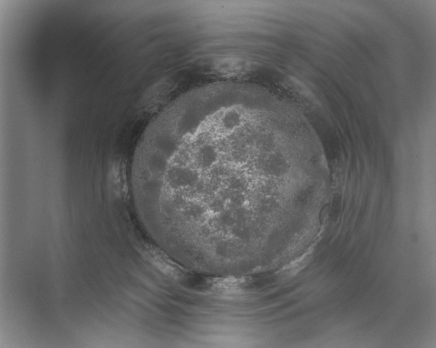 X0000072930182200608041225