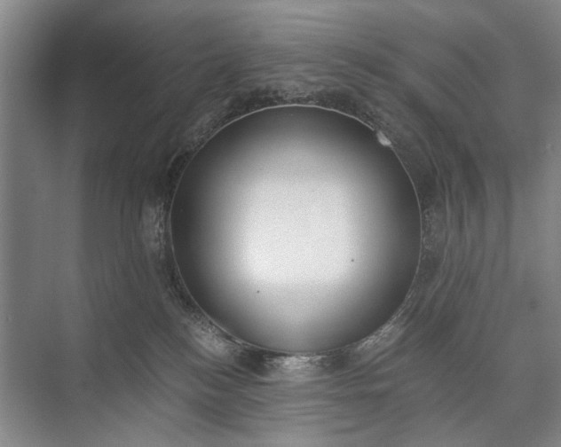 X0000072930184200608041225