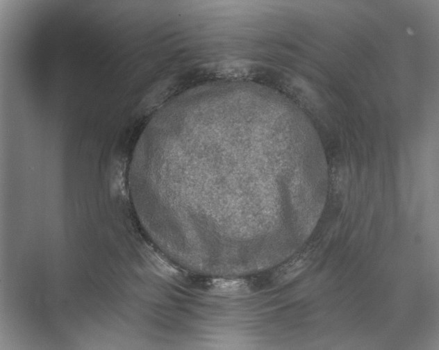 X0000072930185200608041225