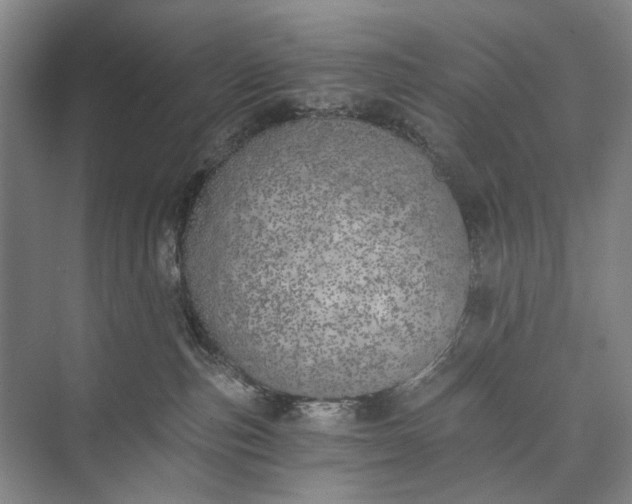 X0000072930187200608041225