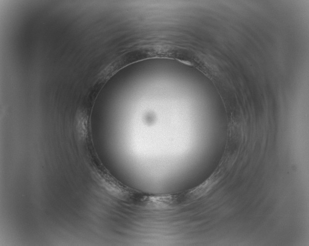 X0000072930188200608041225