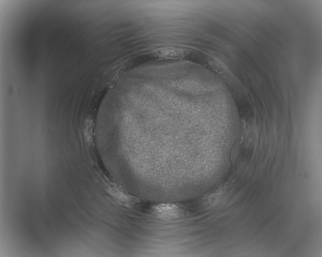 X0000072930189200608041225