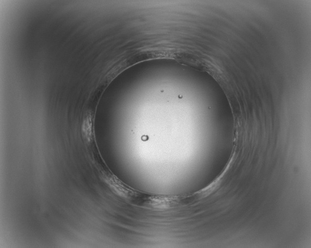 X0000072930190200608041225