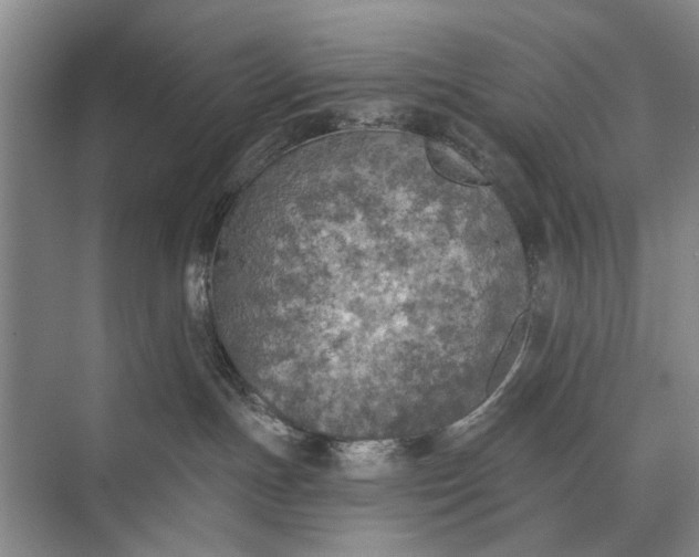 X0000072930191200608041226