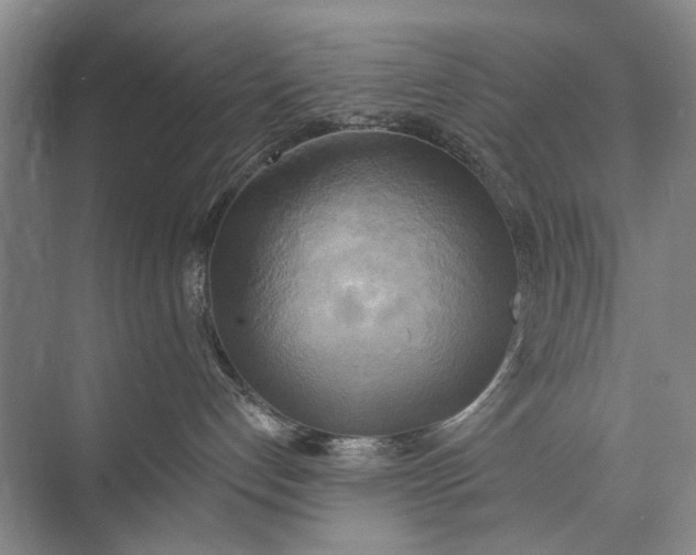 X0000072930192200608041226