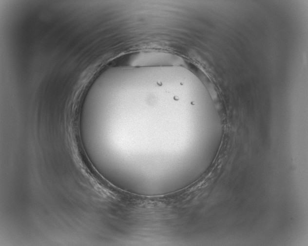 X0000072930193200608041225