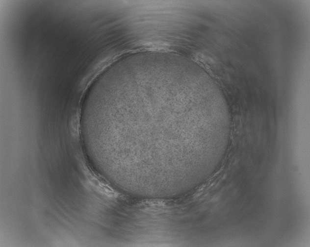 X0000072930194200608041225