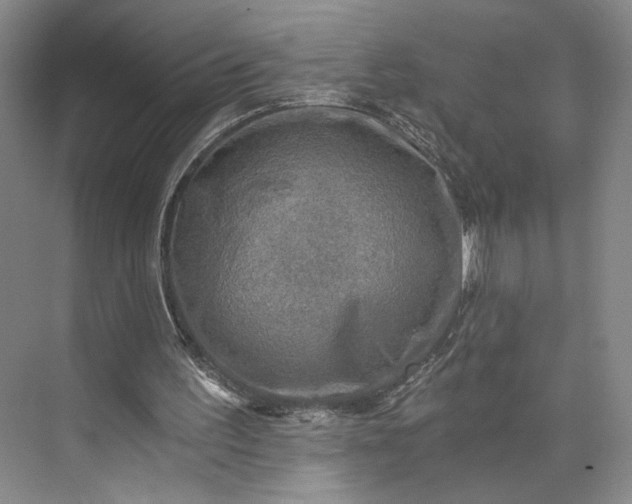 X0000072930195200608041225