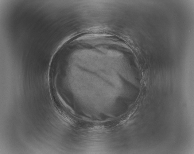 X0000072930196200608041225