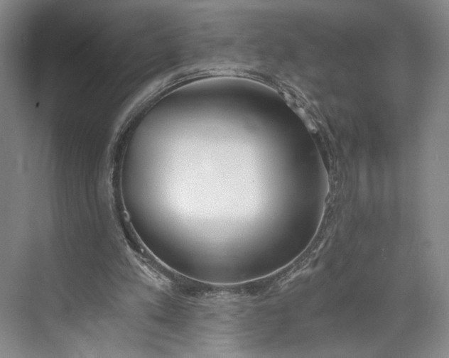 X0000072930197200608041225