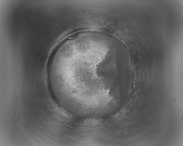 X0000072930198200608041225