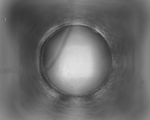 X0000072930199200608041225