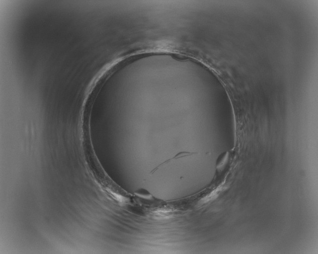 X0000072930200200608041225