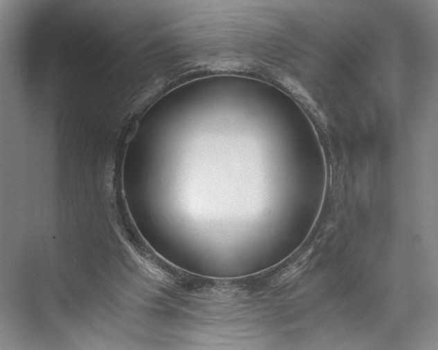 X0000072930201200608041225