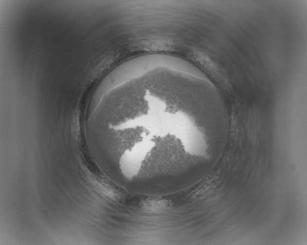 X0000072930202200608041225