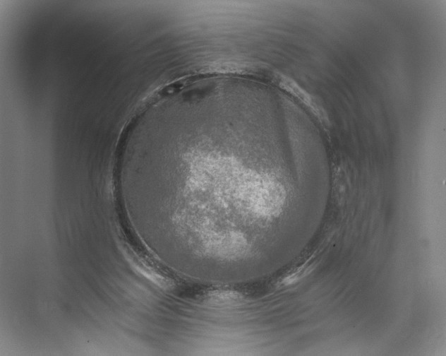 X0000072930203200608041225