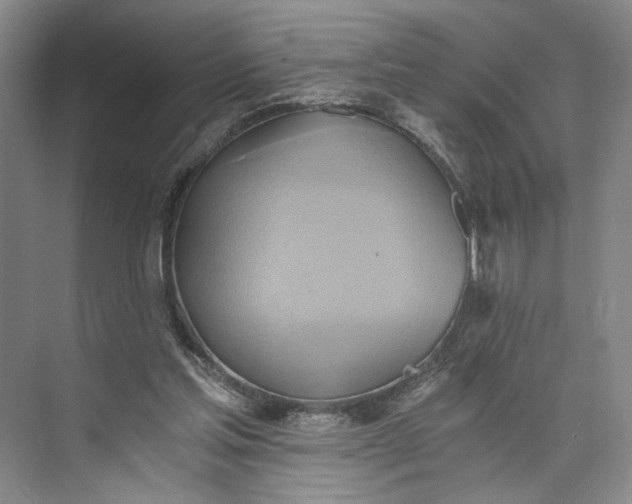 X0000072930205200608041225