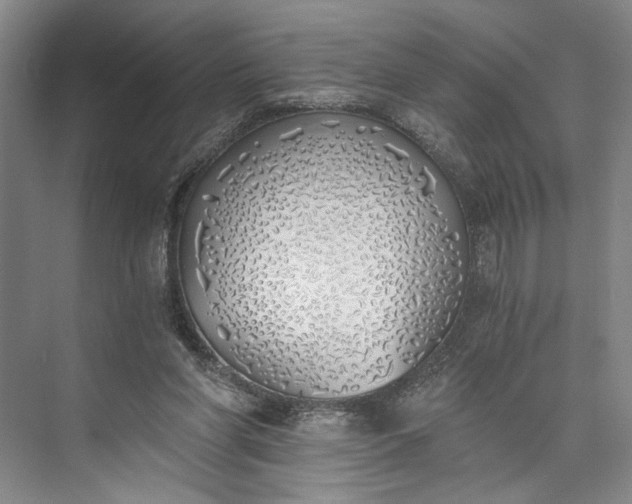 X0000072930206200608041225