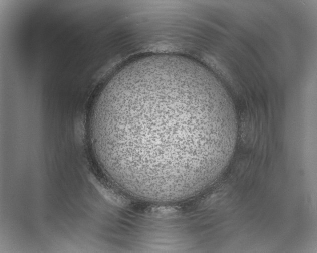 X0000072930208200608041224