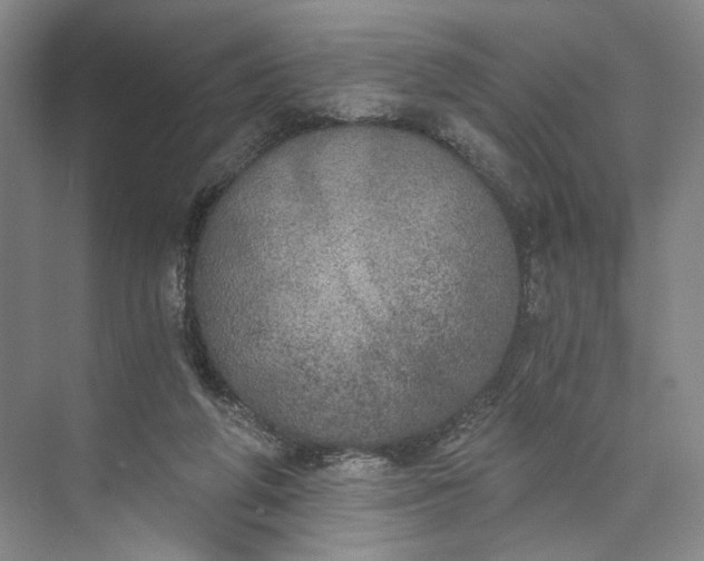 X0000072930210200608041224