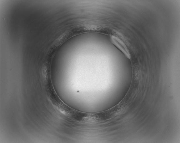 X0000072930211200608041224